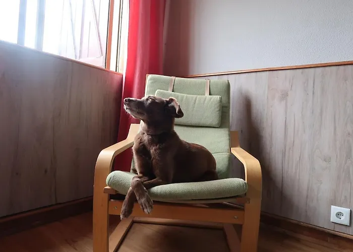 Cosy 3 Bedroom House Close To The